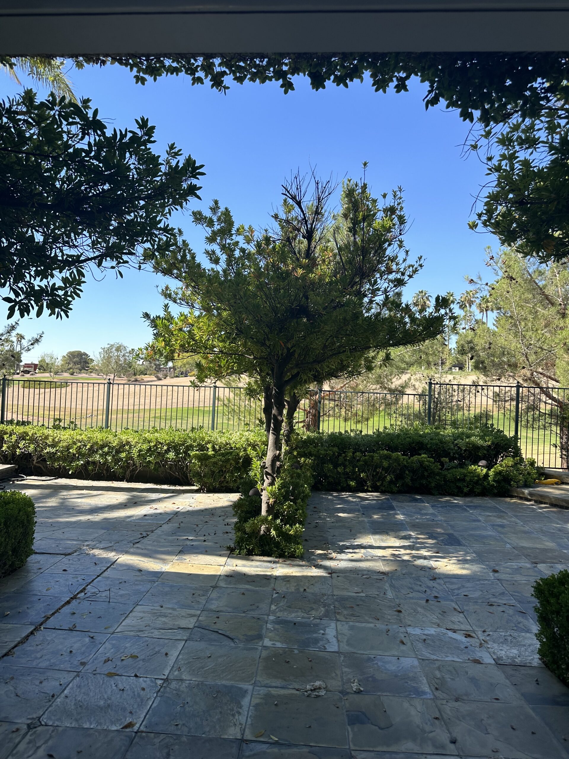 View from dining room with door open